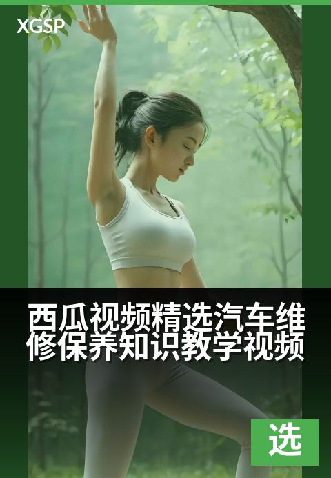 西瓜视频精选汽车维修保养知识教学视频 - 爱车养护宝典：从入门到精通的实战维修指南-精选视频