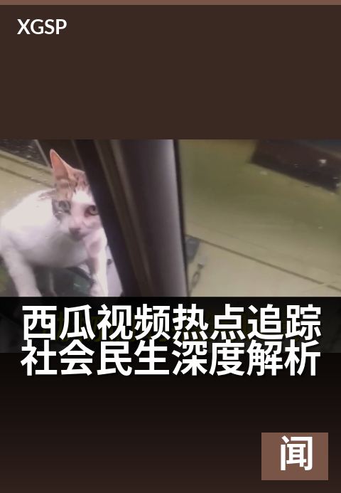 西瓜视频热点追踪社会民生深度解析 - 聚焦事件背后，探寻时代脉搏与大众心声。-新闻视频