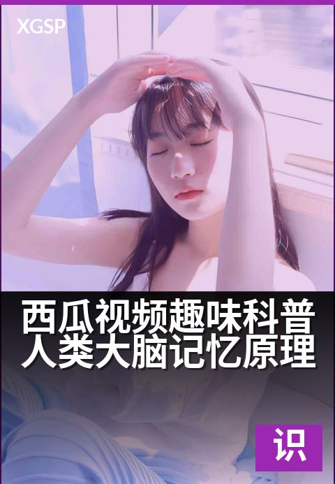 西瓜视频趣味科普人类大脑记忆原理 - 精选合集每周更新