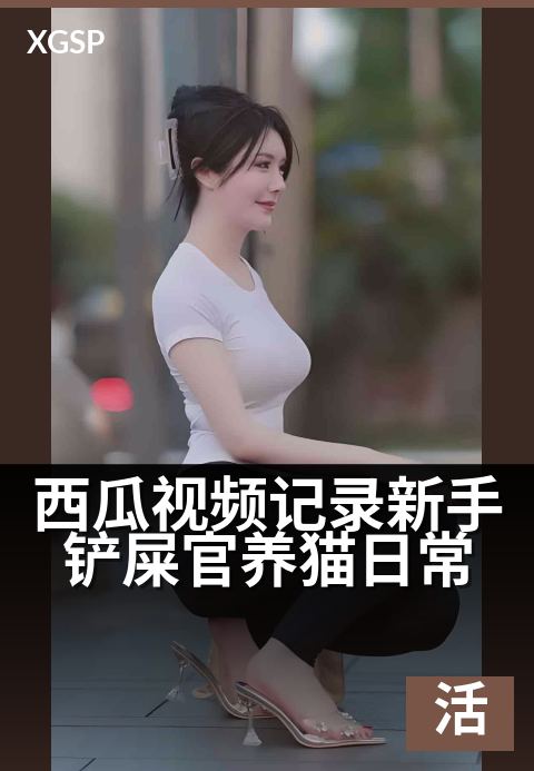 西瓜视频记录新手铲屎官养猫日常 - 新手养猫的治愈小剧场