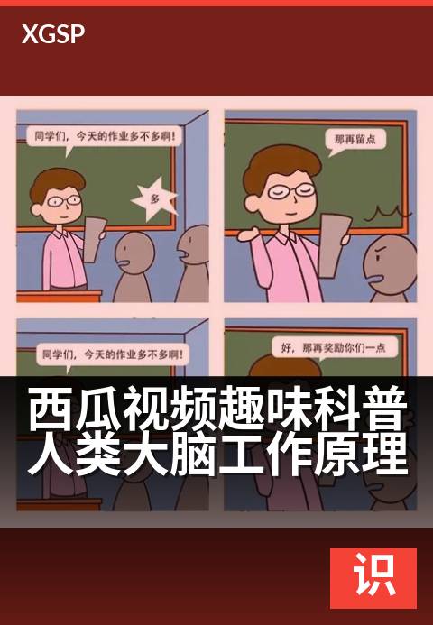 西瓜视频趣味科普人类大脑工作原理 - 3分钟看懂你的大脑