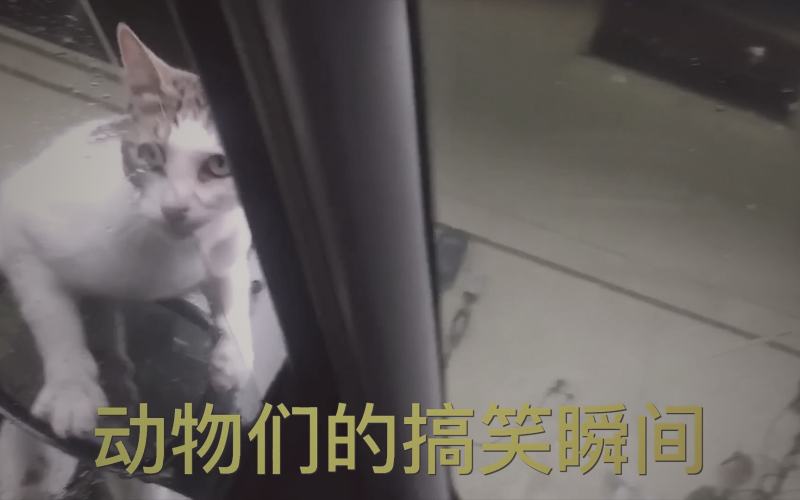 内容创作者正在分析数据面板，面板上显示热度曲线和相关关键词