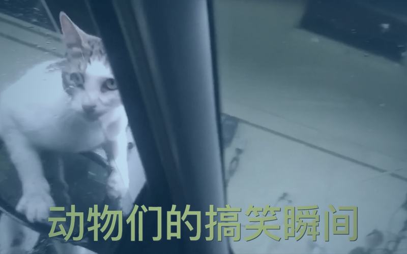 速通玩家调整游戏设置的截图